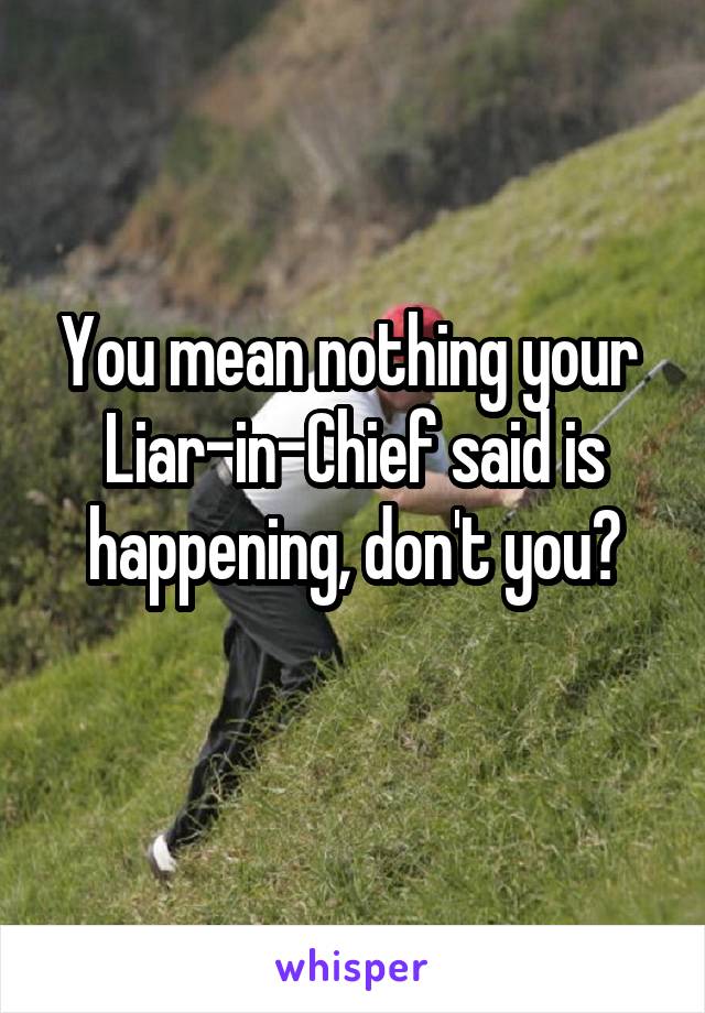 You mean nothing your 
Liar-in-Chief said is happening, don't you?
