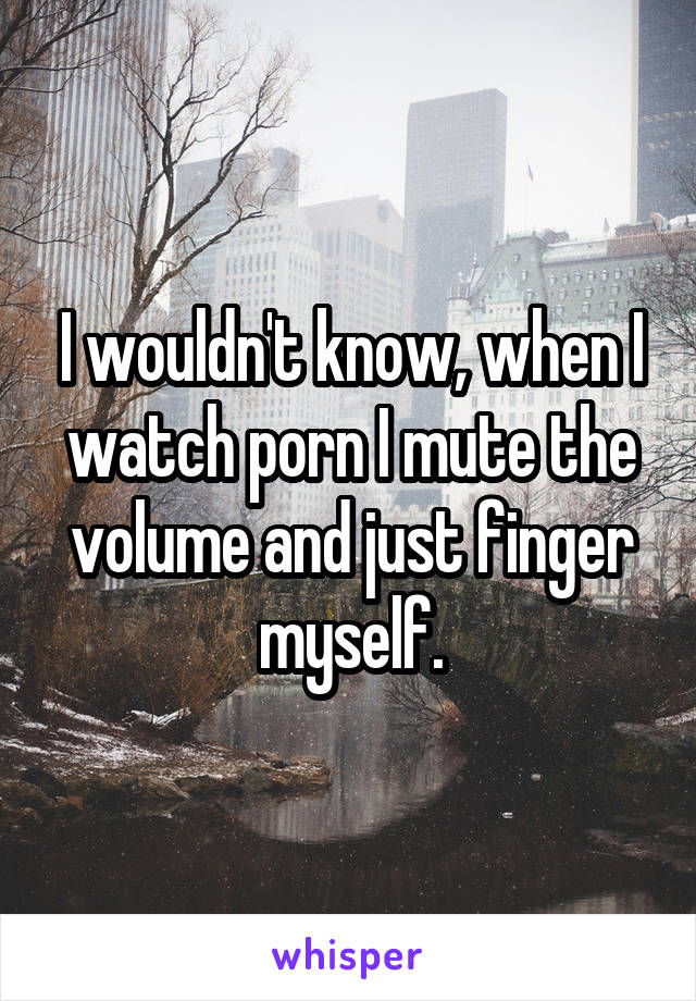 I wouldn't know, when I watch porn I mute the volume and just finger myself.