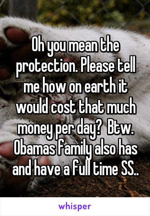 Oh you mean the protection. Please tell me how on earth it would cost that much money per day?  Btw. Obamas family also has and have a full time SS..