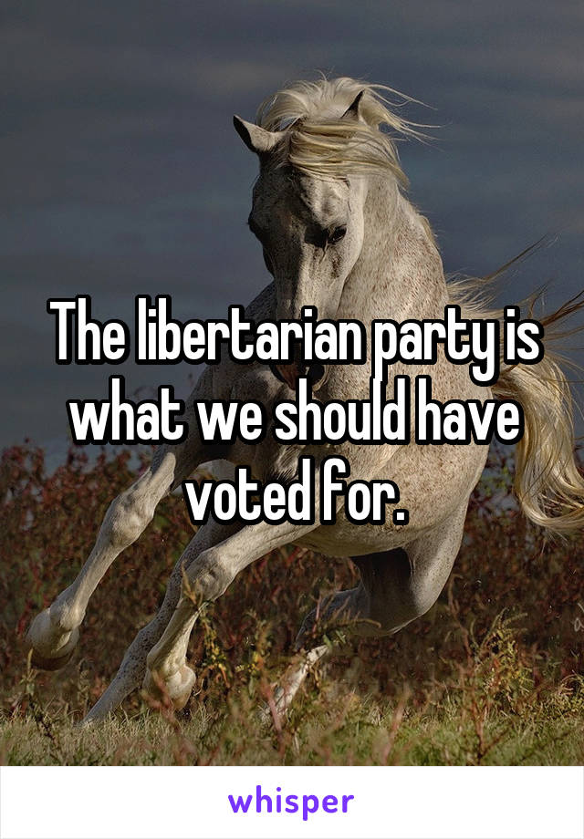 The libertarian party is what we should have voted for.