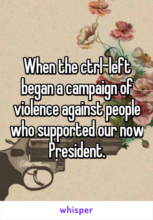 When the ctrl-left began a campaign of violence against people who supported our now President.