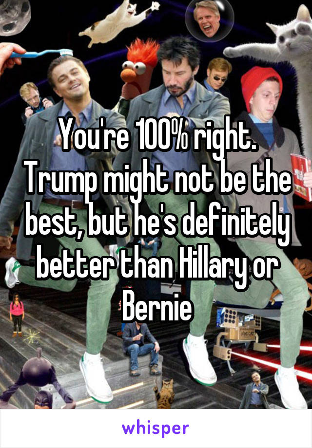 You're 100% right. Trump might not be the best, but he's definitely better than Hillary or Bernie