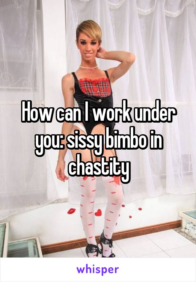 How can I work under you: sissy bimbo in chastity