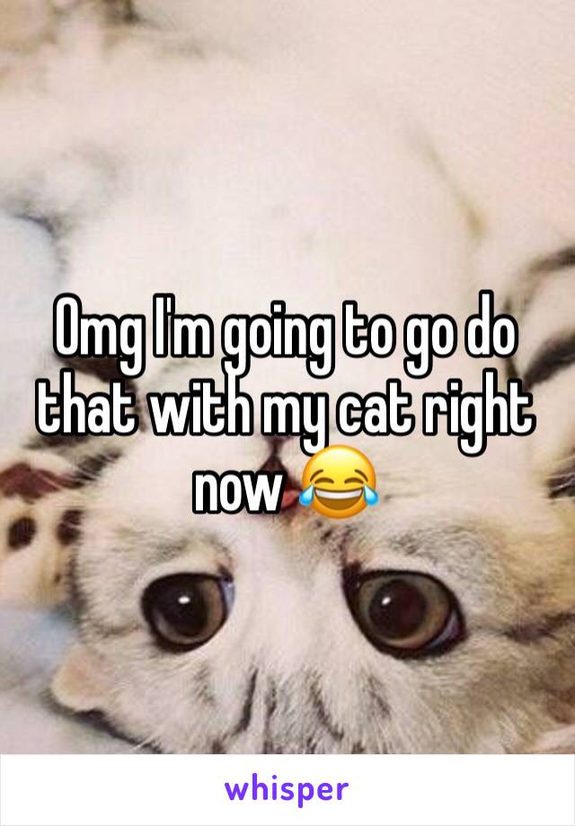 Omg I'm going to go do that with my cat right now 😂