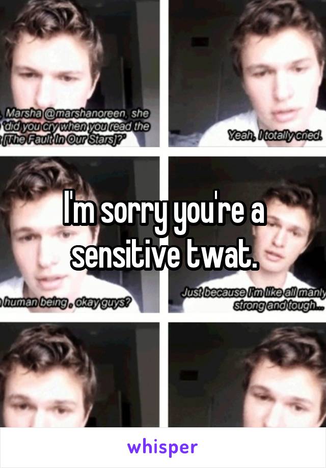 I'm sorry you're a sensitive twat.