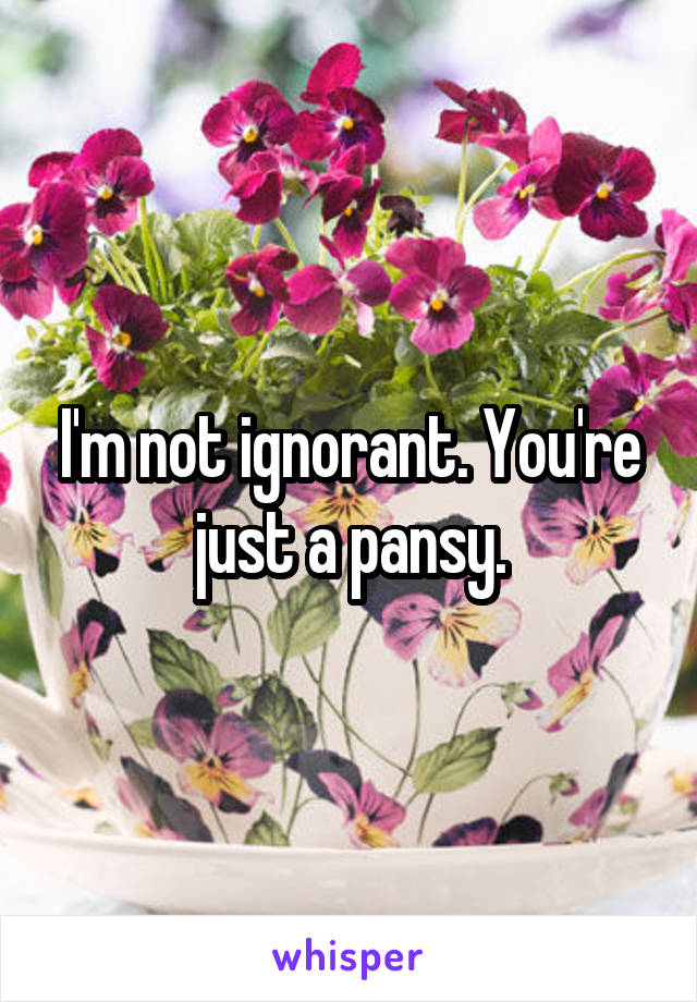 I'm not ignorant. You're just a pansy.