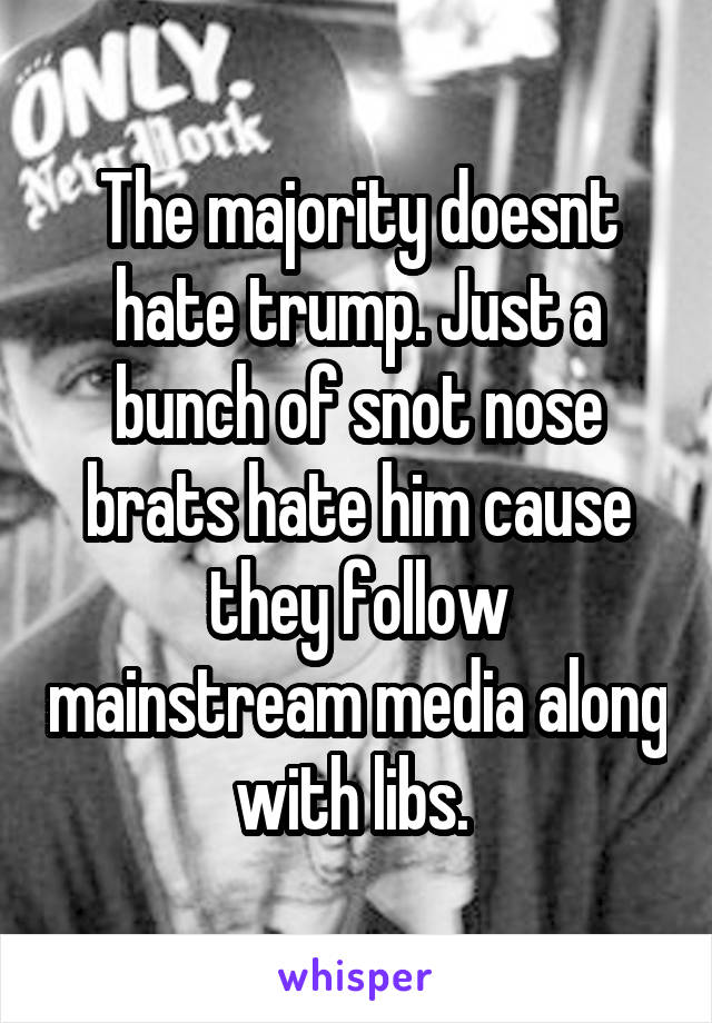 The majority doesnt hate trump. Just a bunch of snot nose brats hate him cause they follow mainstream media along with libs. 