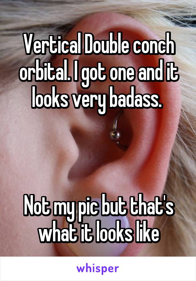 Vertical Double conch orbital. I got one and it looks very badass. 



Not my pic but that's what it looks like