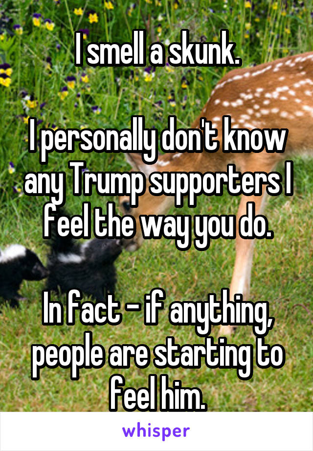 I smell a skunk.

I personally don't know any Trump supporters I feel the way you do.

In fact - if anything, people are starting to feel him.