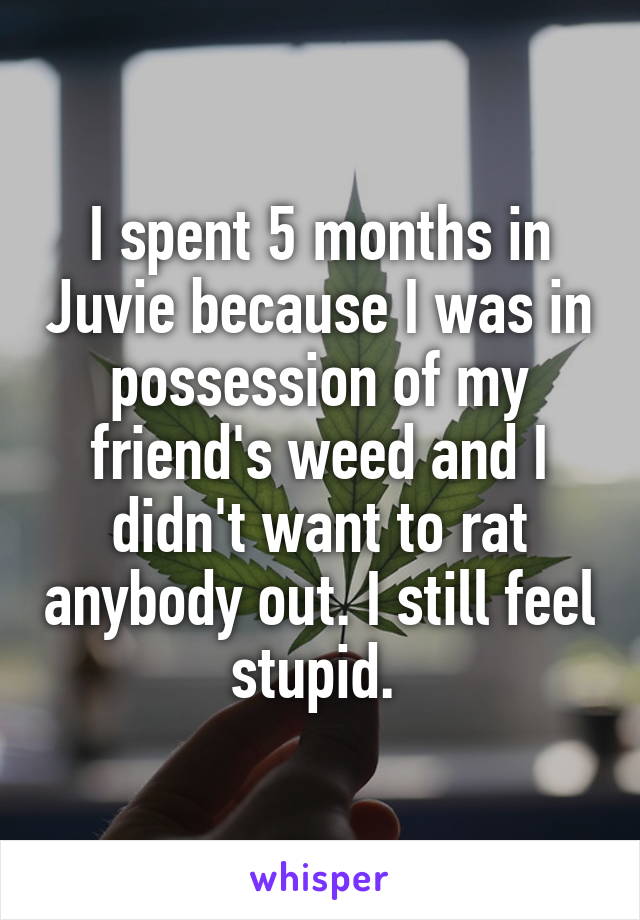 I spent 5 months in Juvie because I was in possession of my friend's weed and I didn't want to rat anybody out. I still feel stupid. 