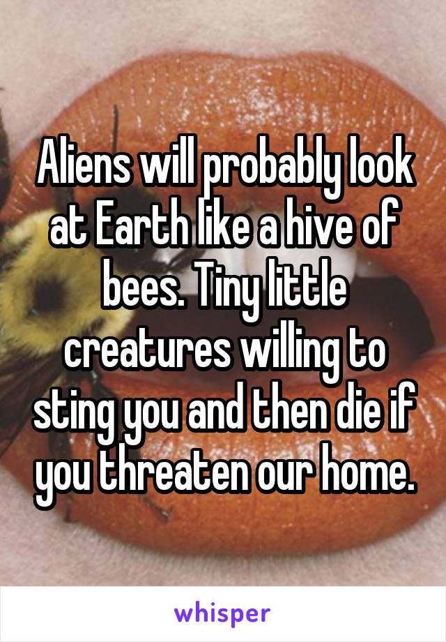 Aliens will probably look at Earth like a hive of bees. Tiny little creatures willing to sting you and then die if you threaten our home.
