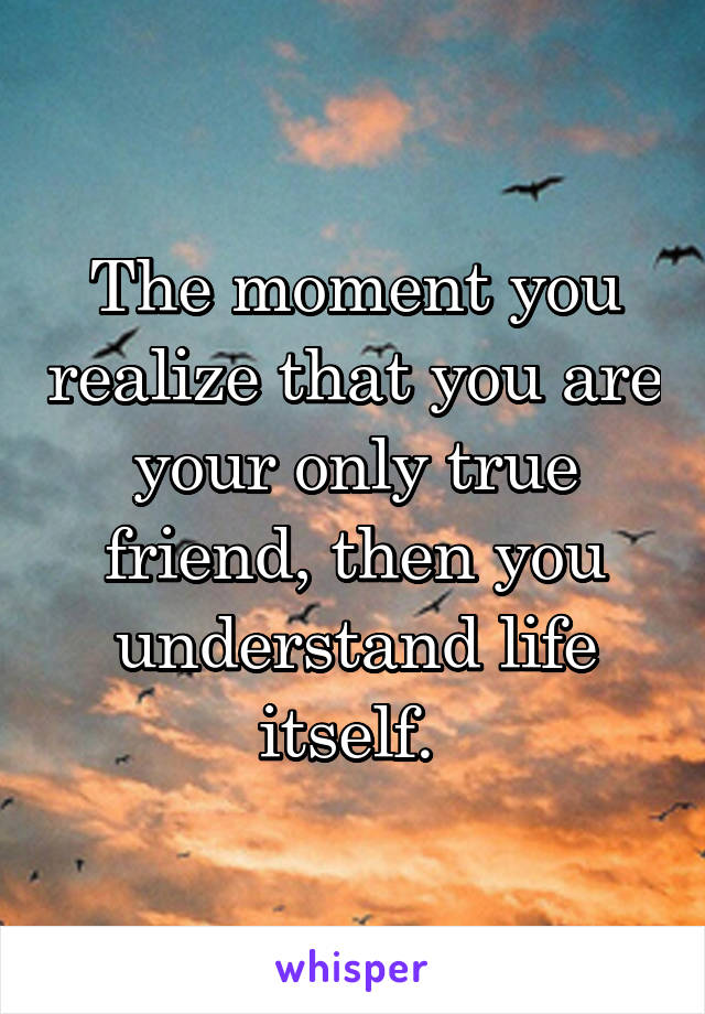 The moment you realize that you are your only true friend, then you understand life itself. 