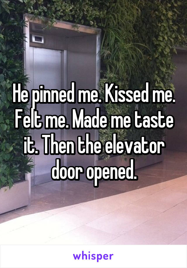 He pinned me. Kissed me. Felt me. Made me taste it. Then the elevator door opened.