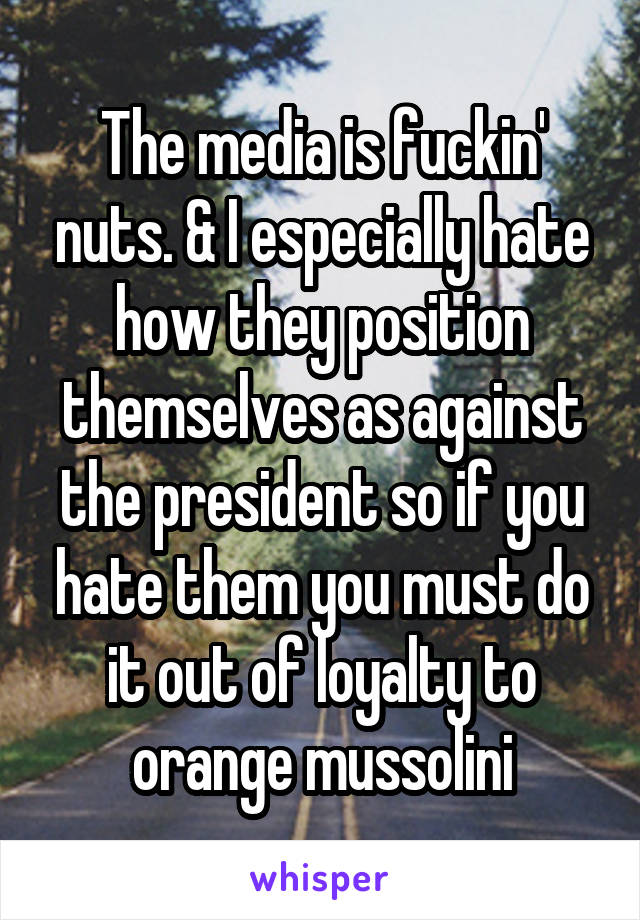 The media is fuckin' nuts. & I especially hate how they position themselves as against the president so if you hate them you must do it out of loyalty to orange mussolini