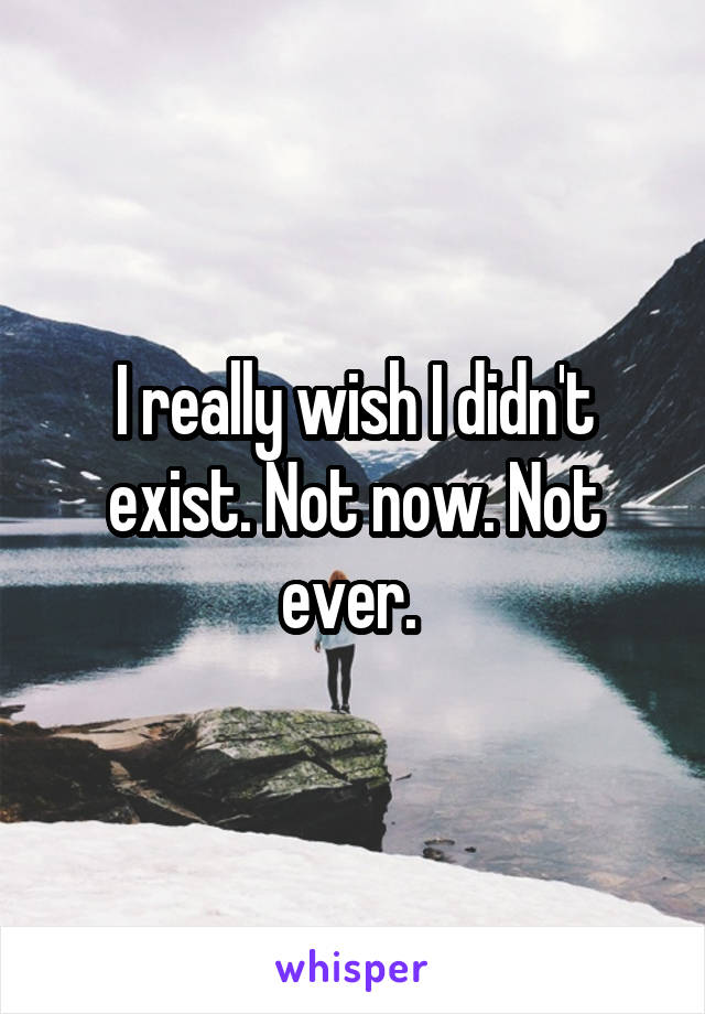 I really wish I didn't exist. Not now. Not ever. 