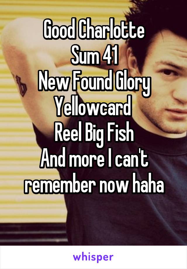 Good Charlotte
Sum 41
New Found Glory
Yellowcard 
Reel Big Fish
And more I can't remember now haha

