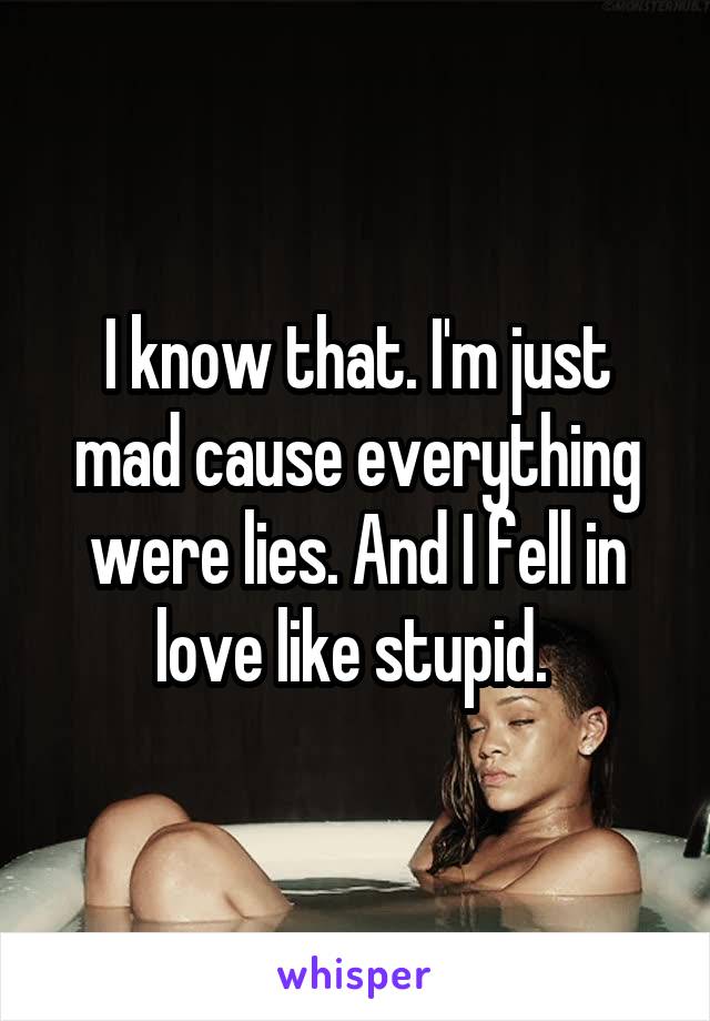 I know that. I'm just mad cause everything were lies. And I fell in love like stupid. 