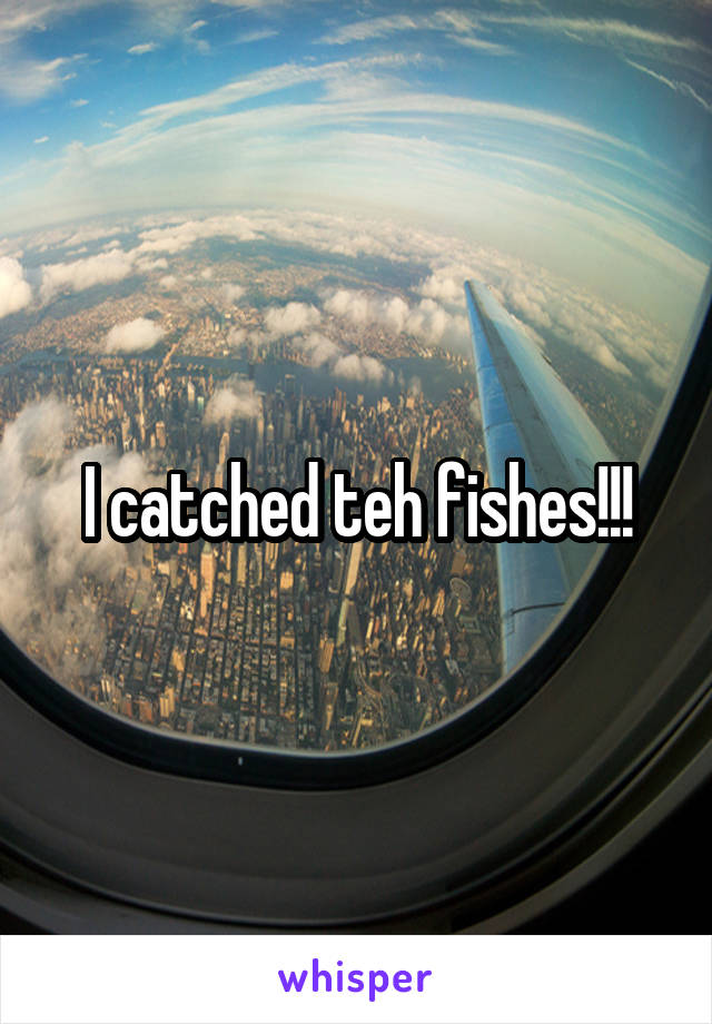 I catched teh fishes!!!