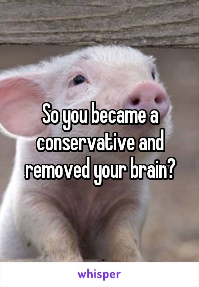 So you became a conservative and removed your brain?