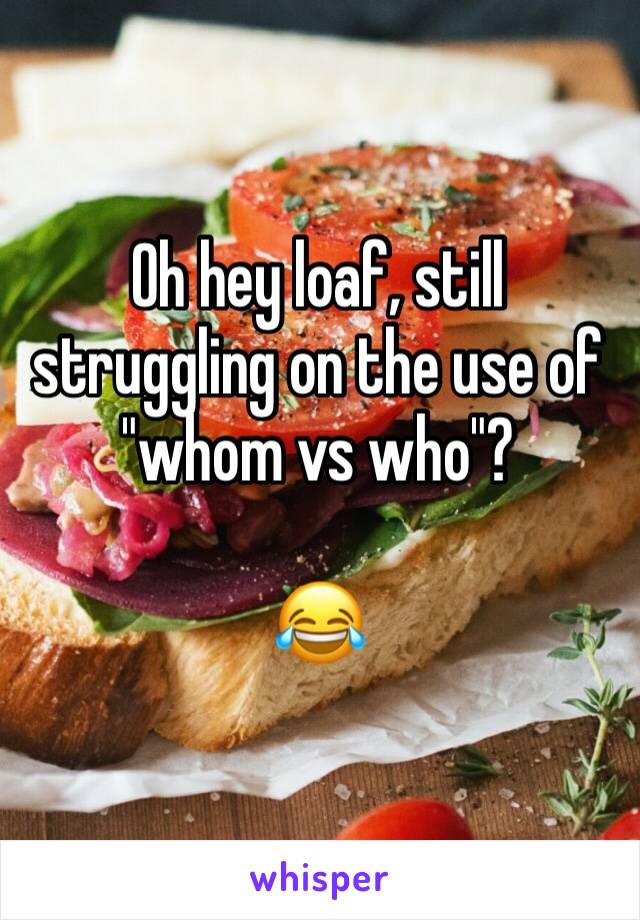 Oh hey loaf, still struggling on the use of  "whom vs who"?

😂