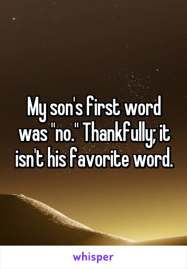 My son's first word was "no." Thankfully; it isn't his favorite word.