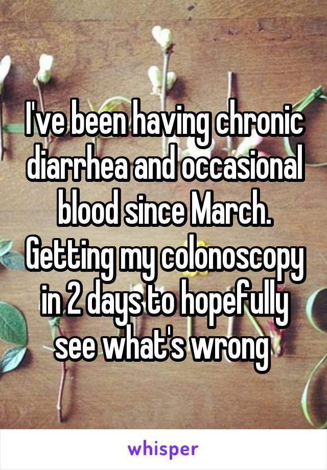 I've been having chronic diarrhea and occasional blood since March. Getting my colonoscopy in 2 days to hopefully see what's wrong 