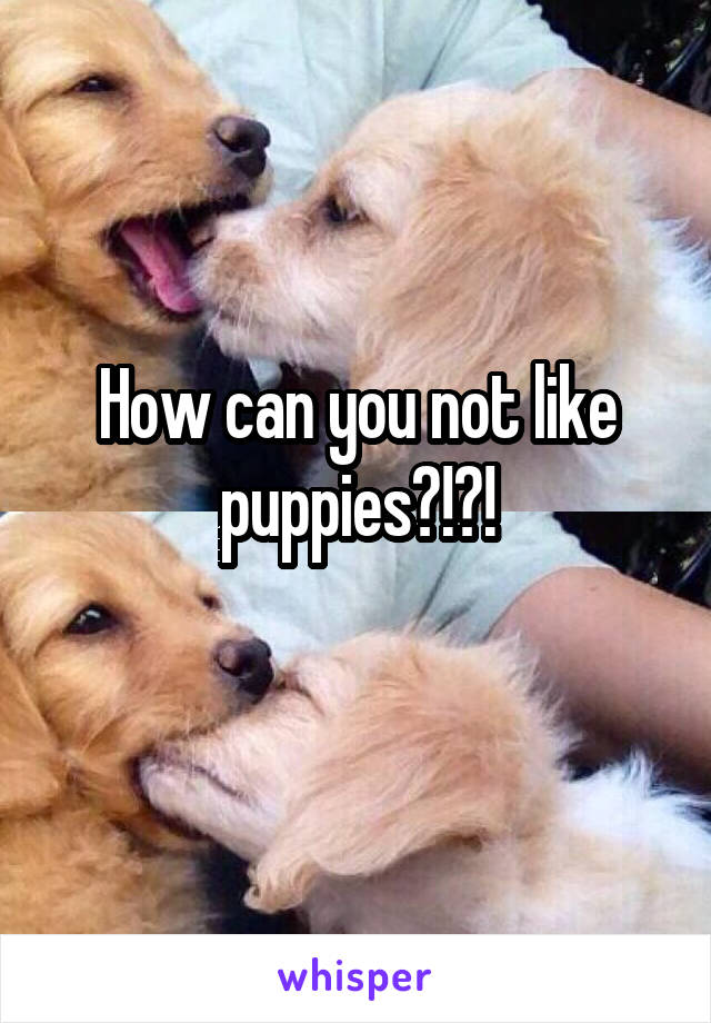How can you not like puppies?!?!
