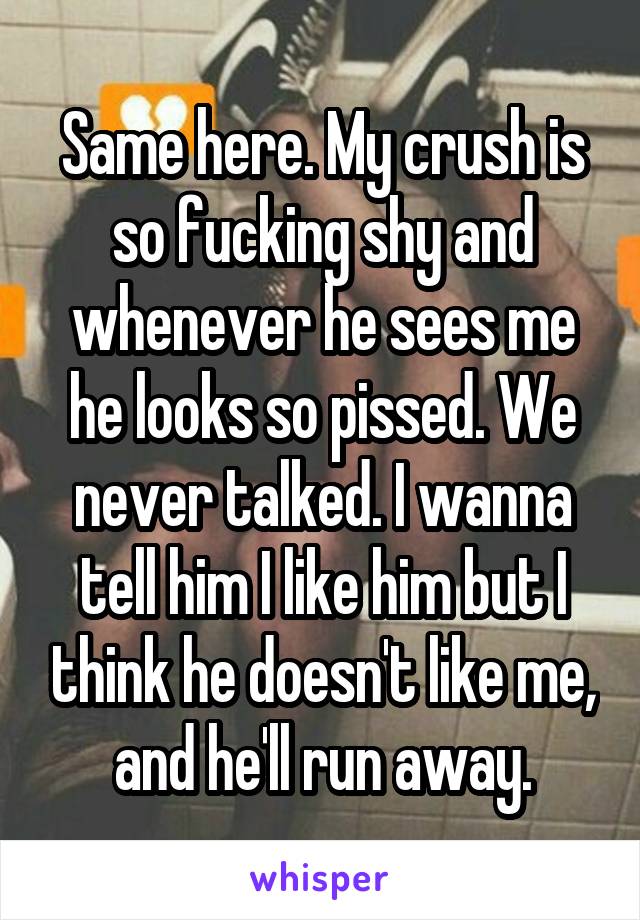 Same here. My crush is so fucking shy and whenever he sees me he looks so pissed. We never talked. I wanna tell him I like him but I think he doesn't like me, and he'll run away.