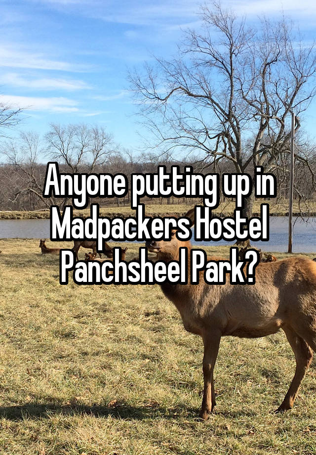 Anyone putting up in Madpackers Hostel Panchsheel Park?