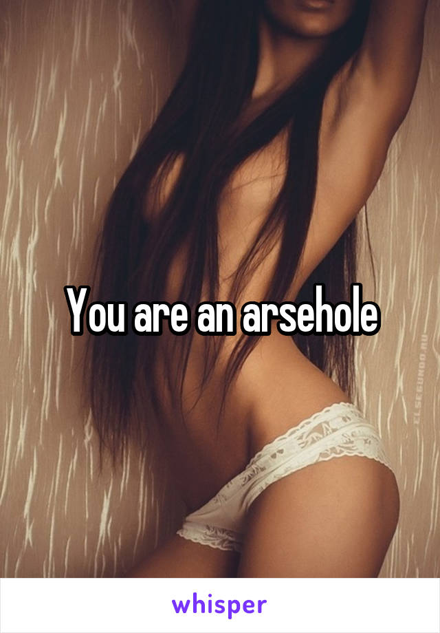 You are an arsehole