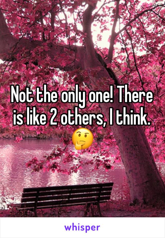 Not the only one! There is like 2 others, I think. 🤔
