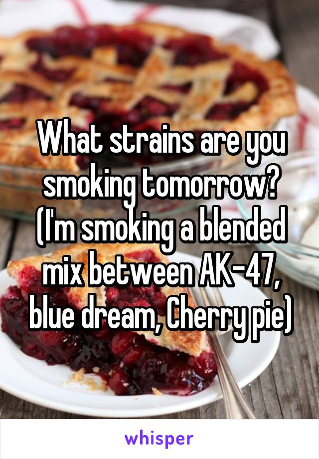 What strains are you smoking tomorrow?
(I'm smoking a blended mix between AK-47, blue dream, Cherry pie)