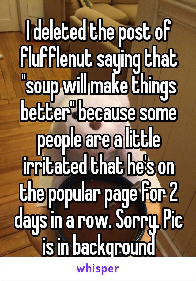 I deleted the post of flufflenut saying that "soup will make things better" because some people are a little irritated that he's on the popular page for 2 days in a row. Sorry. Pic is in background