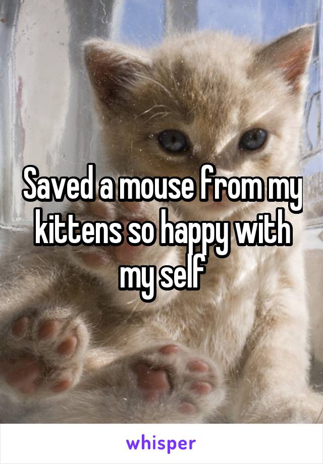 Saved a mouse from my kittens so happy with my self