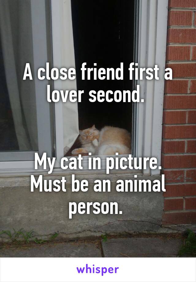 A close friend first a lover second. 


My cat in picture. Must be an animal person. 