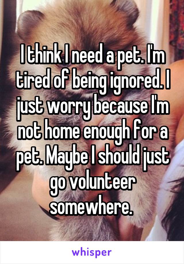 I think I need a pet. I'm tired of being ignored. I just worry because I'm not home enough for a pet. Maybe I should just go volunteer somewhere. 