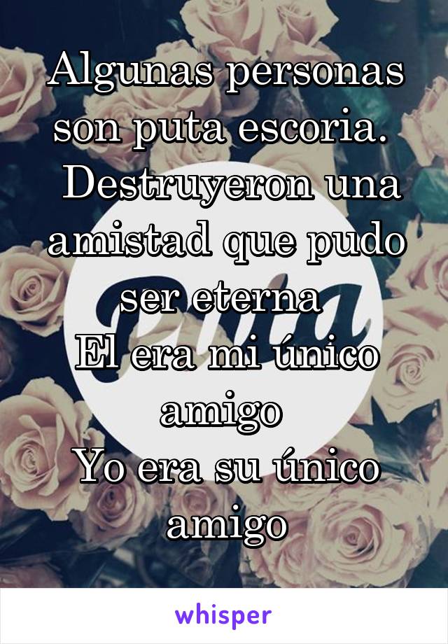 Algunas personas son puta escoria. 
 Destruyeron una amistad que pudo ser eterna 
El era mi único amigo 
Yo era su único amigo
