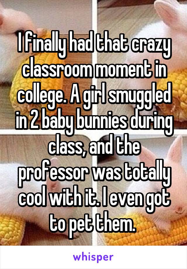 I finally had that crazy classroom moment in college. A girl smuggled in 2 baby bunnies during class, and the professor was totally cool with it. I even got to pet them. 