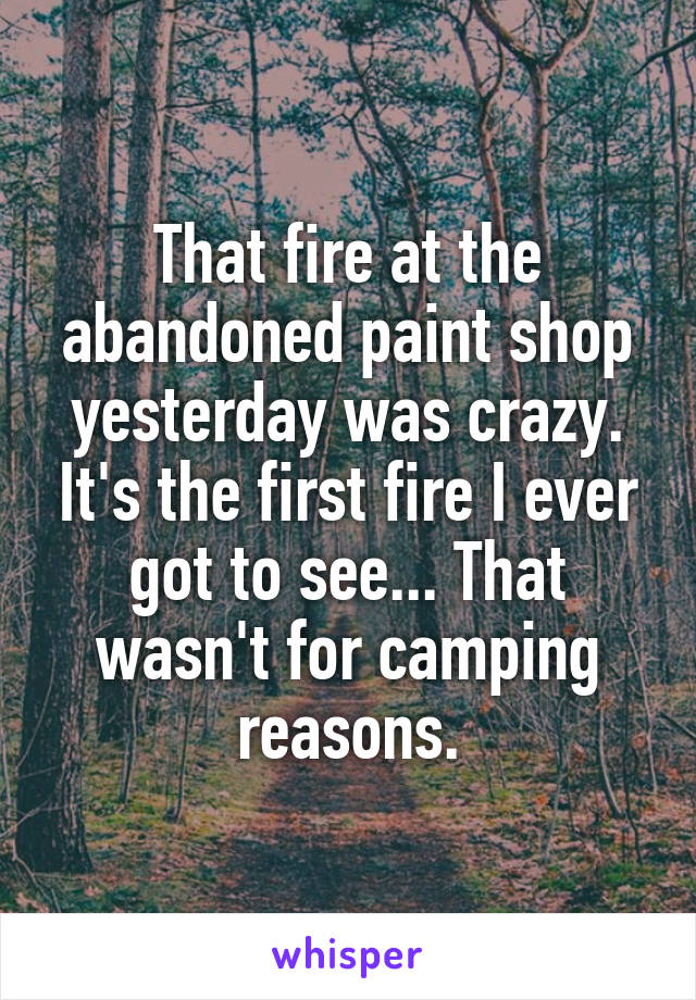 That fire at the abandoned paint shop yesterday was crazy. It's the first fire I ever got to see... That wasn't for camping reasons.