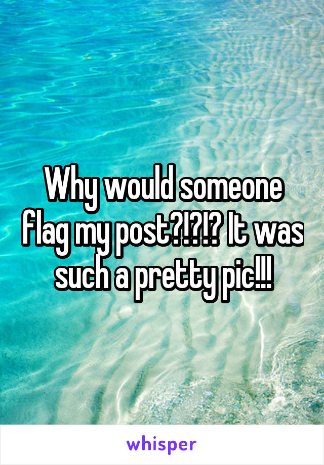 Why would someone flag my post?!?!? It was such a pretty pic!!!