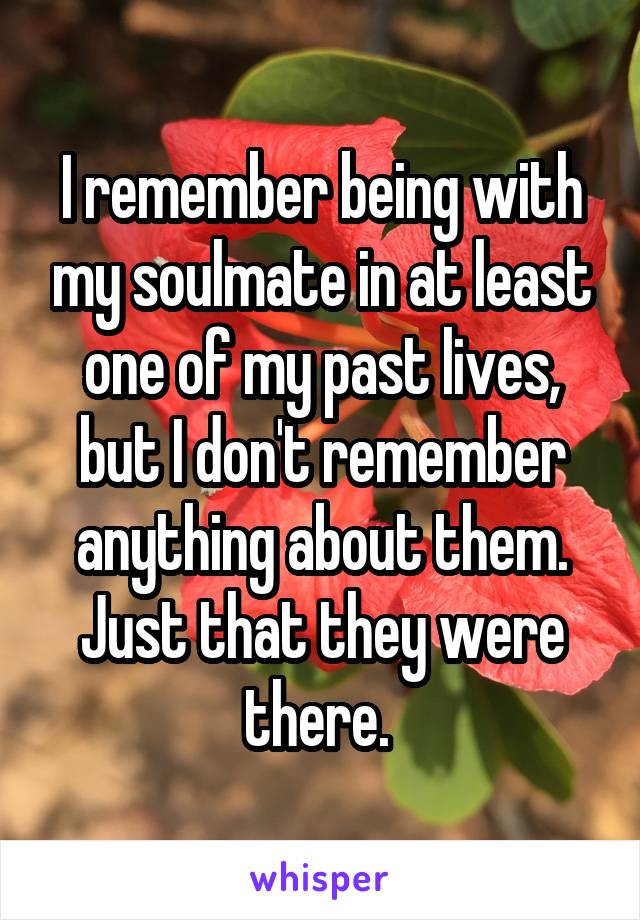 I remember being with my soulmate in at least one of my past lives, but I don't remember anything about them. Just that they were there. 