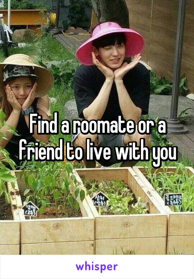 Find a roomate or a friend to live with you