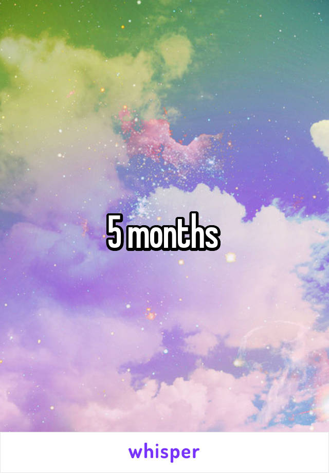 5 months 