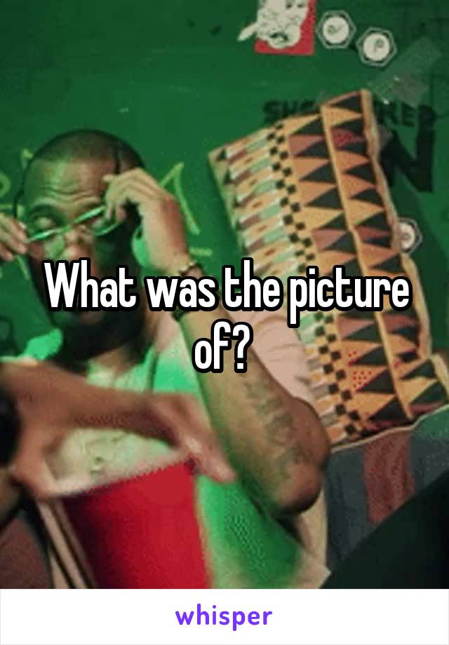 What was the picture of? 