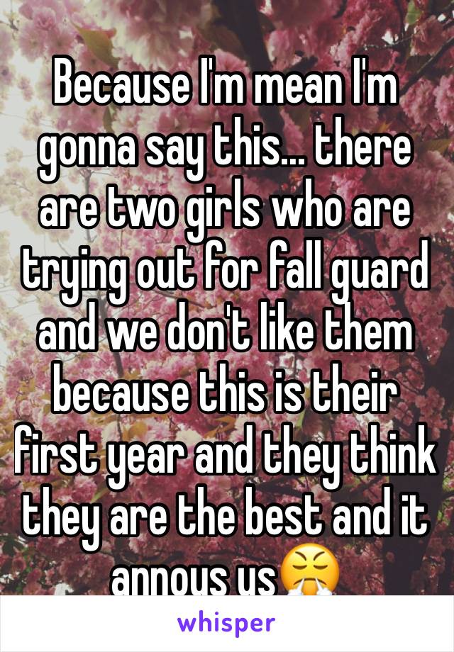 Because I'm mean I'm gonna say this... there are two girls who are trying out for fall guard and we don't like them because this is their first year and they think they are the best and it annoys us😤