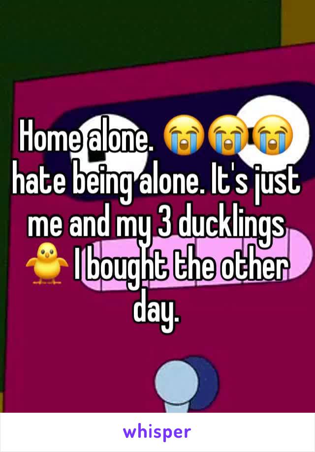 Home alone. 😭😭😭 hate being alone. It's just me and my 3 ducklings 🐥 I bought the other day. 