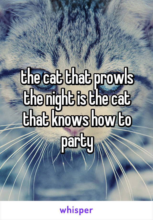 the cat that prowls the night is the cat that knows how to party