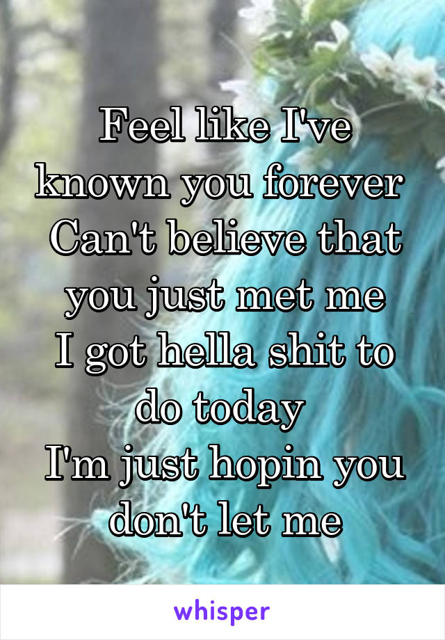 Feel like I've known you forever 
Can't believe that you just met me
I got hella shit to do today 
I'm just hopin you don't let me