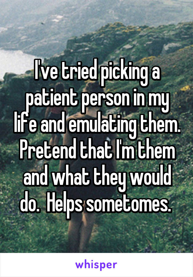 I've tried picking a patient person in my life and emulating them. Pretend that I'm them and what they would do.  Helps sometomes. 