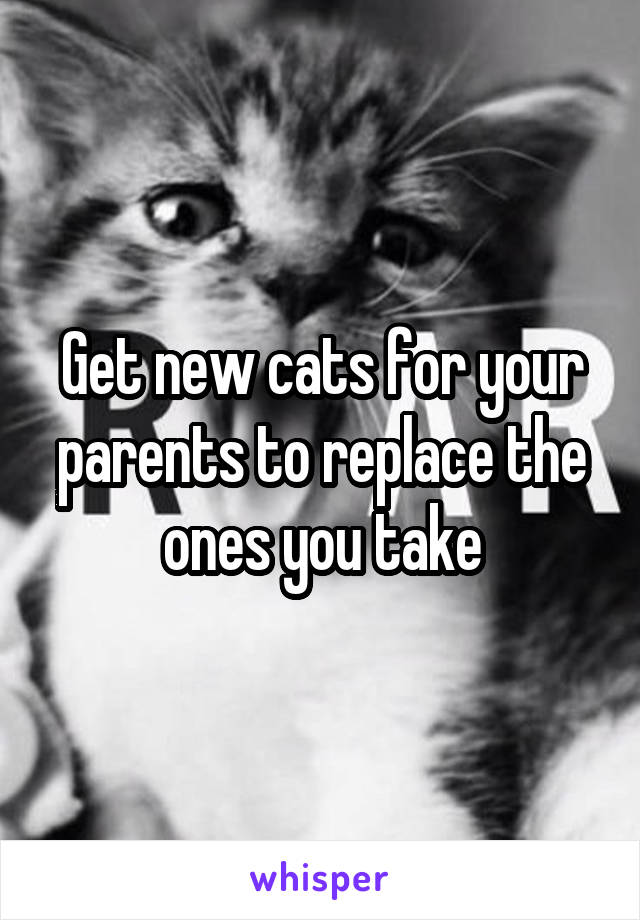 Get new cats for your parents to replace the ones you take